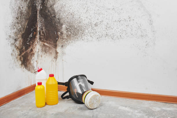 Best Crawl Space Mold Removal  in Vermilion, OH