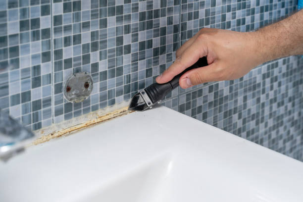 Best Mold Removal Company Near Me  in Vermilion, OH