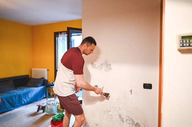 Best Mold Inspection  in Vermilion, OH