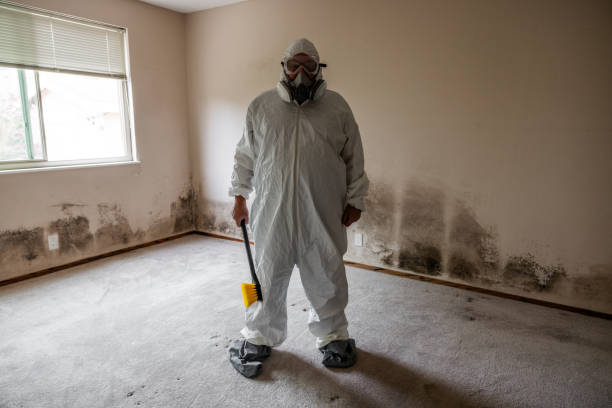 Best Mold Damage Repair  in Vermilion, OH